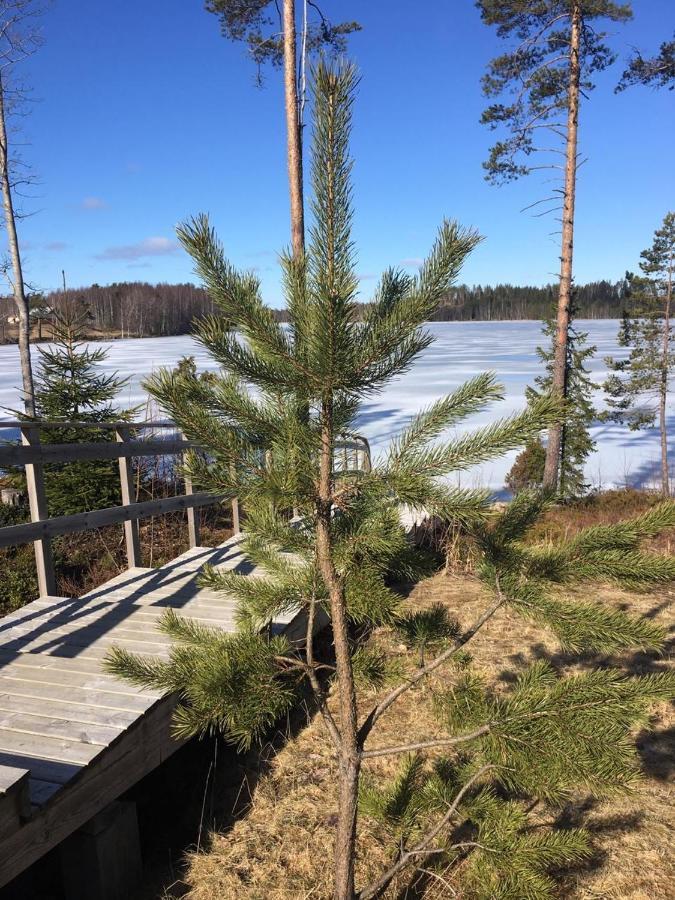 Vita Ruokolahti 1-2 Bagian luar foto